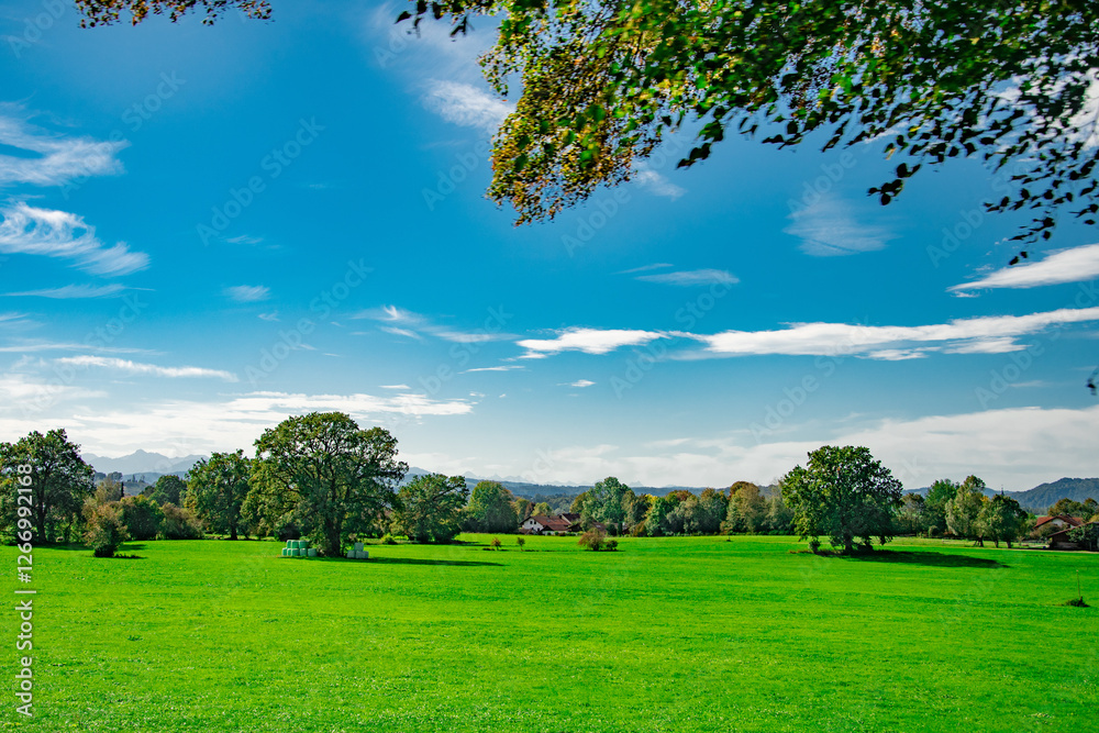 Obraz premium Green Bavarian field under blue summer sky
