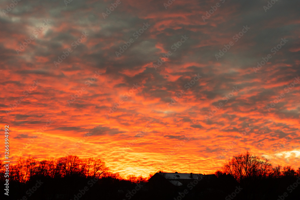 Fototapeta premium Fiery Sunset Over a Rural Horizon