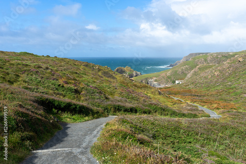 Path winding through heather-covered cliffs leading to a secluded Cornish cove with ocean views. UK tourism.