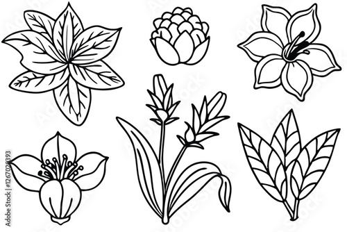 Vintage Botanical Beauty Captured In Detailed Line Art