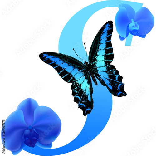 Blue letter S with orchid and butterfly on  transparent background; PNG