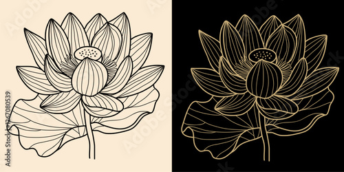 Lotus, Water Lily flower line art drawing. Hand drawn sketch with black, gold lines. July birth month flower. Modern design for tattoo, logo, cards, packaging, wall art. Vector illustration isolated.