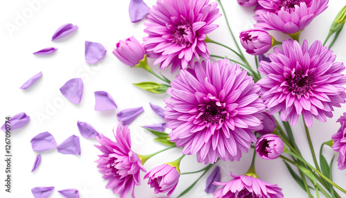 Purple fresh blossoms on white background transparent