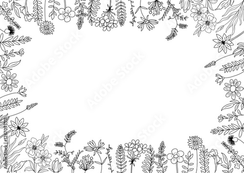 Wild blooming meadow flowers and herbs frame. Horizontal banner, floral overlay backdrop. Botanical monochrome ink sketch style hand drawn vector illustration isolated on transparent background.