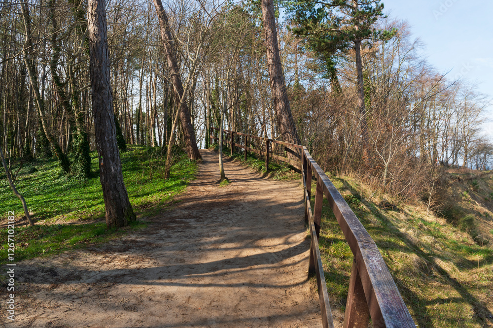 orest Walking Path with Wooden Fence Overlooking the Sea in Jastrzębia Góra orest Walking Path with Wooden Fence Overlooking the Sea in Jastrzębia Góra