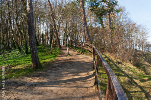 orest Walking Path with Wooden Fence Overlooking the Sea in Jastrzębia Góra