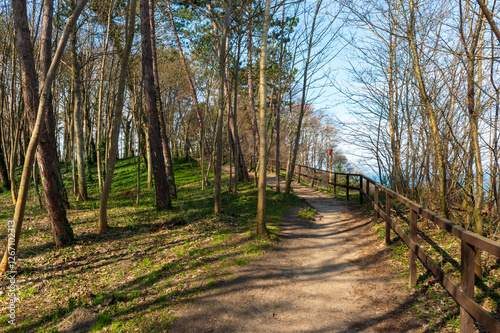 orest Walking Path with Wooden Fence Overlooking the Sea in Jastrzębia Góra