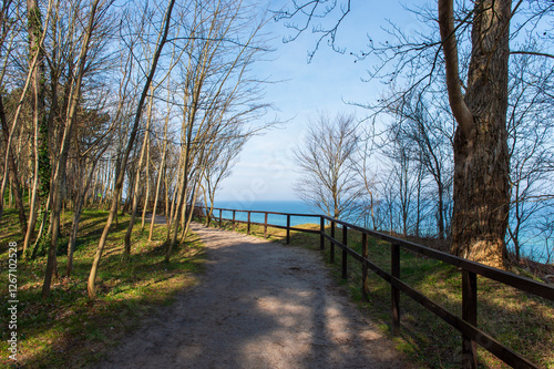 Coastal Forest Path with Wooden Fence Overlooking the Sea in Jastrzębia Góra
