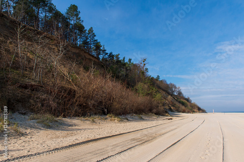 Eroded Sand Cliffs with Forest Above a Sandy Beach in Jastrzębia Góra on a Sunny Day