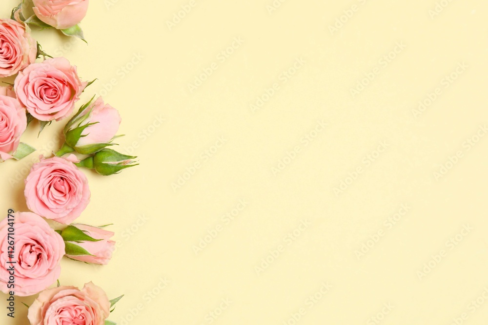 Beautiful composition with pink roses on color background Beautiful composition with pink roses on color background