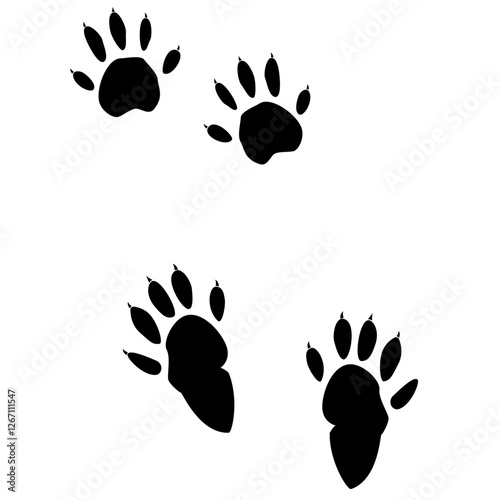 raccoon footprints, raccoon track. Raccoon steps.