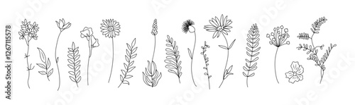 Set of tiny wild flowers and plants line art vector botanical illustrations. Trendy greenery hand drawn black ink sketches collection. Modern design for logo, tattoo, wall art, branding and packaging.