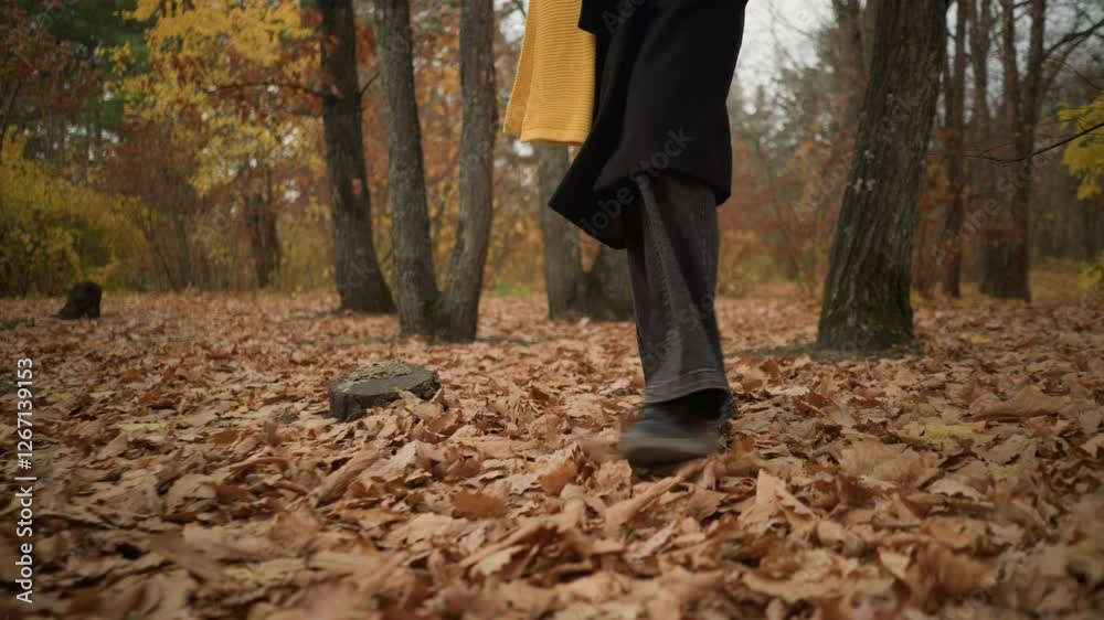 Lower angle view of person walking through forest with dry foliage, wearing canvas shoes and black jeans, moving majestically among fallen autumn leaves Lower angle view of person walking through forest with dry foliage, wearing canvas shoes and black jeans, moving majestically among fallen autumn leaves