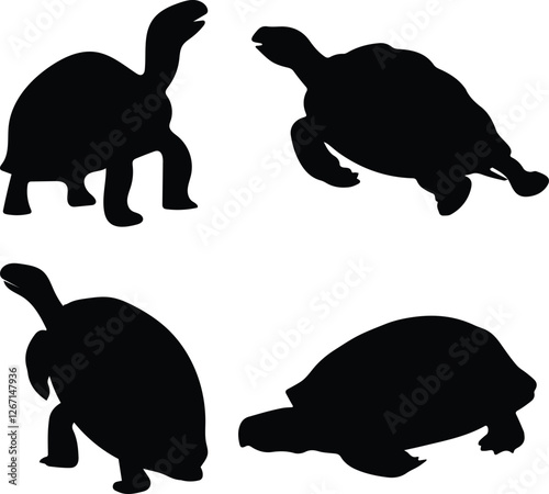 vector illustration of turtle