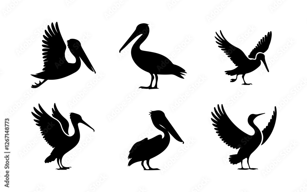 Fototapeta premium Elegant Bird Silhouette Set – Pelicans, Seagulls & Cranes in Dynamic Poses for Logos & Designs
