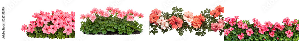 Vibrant and blooming flower garden with pink and red blossoming plants and lush green foliage in a scenic outdoor nature landscape Vibrant and blooming flower garden with pink and red blossoming plants and lush green foliage in a scenic outdoor nature landscape