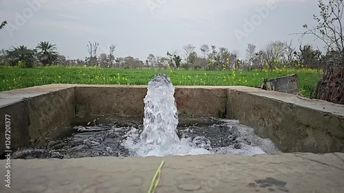 Fresh Water Flowing out of Tube well 