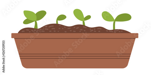 Vector illustration of home plant growing phases. Vector isolated spring garden elements, seedlings. Vector flat style illustration on white background