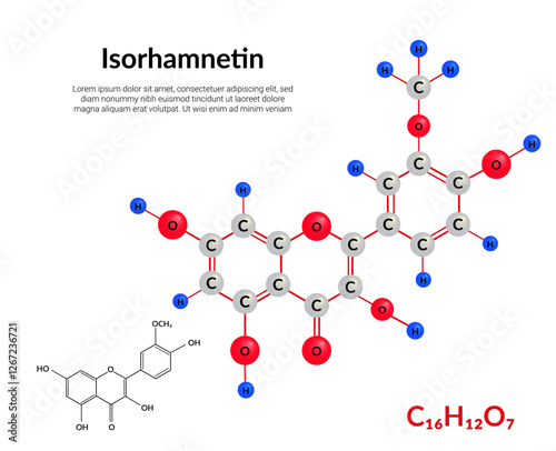 Isorhamnetin plant flavonol, molecular structure formula, ball-and-stick model, suitable for education or chemistry science content. Vector illustration