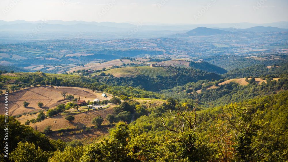 Naklejka premium Scenic view to the countryside of Tuscany with small fields, deep woods, hills and small farms offers typical view to the italian countryside during hot summer day and evokes beauty of local nature.