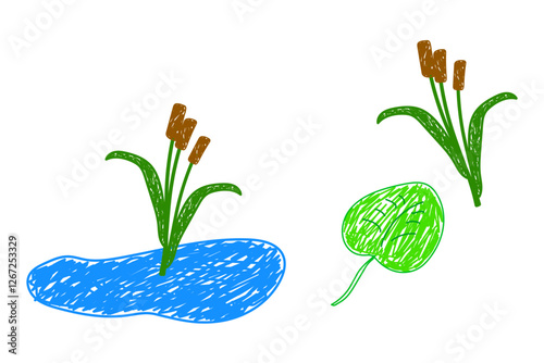 Simple doodle-style illustration of cattails growing near a pond with a floating leaf in a playful, childlike art style. A set of wetland plants.