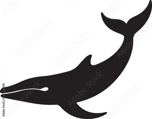 vector illustration of a cartoon shark