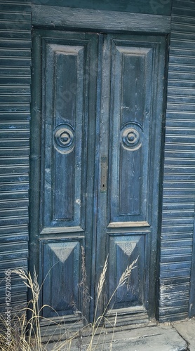  
Blue Wooden Door