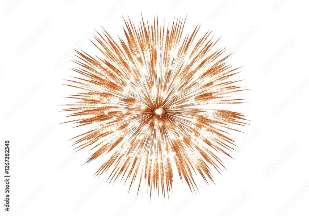 Obraz premium Visualization of fireworks.
