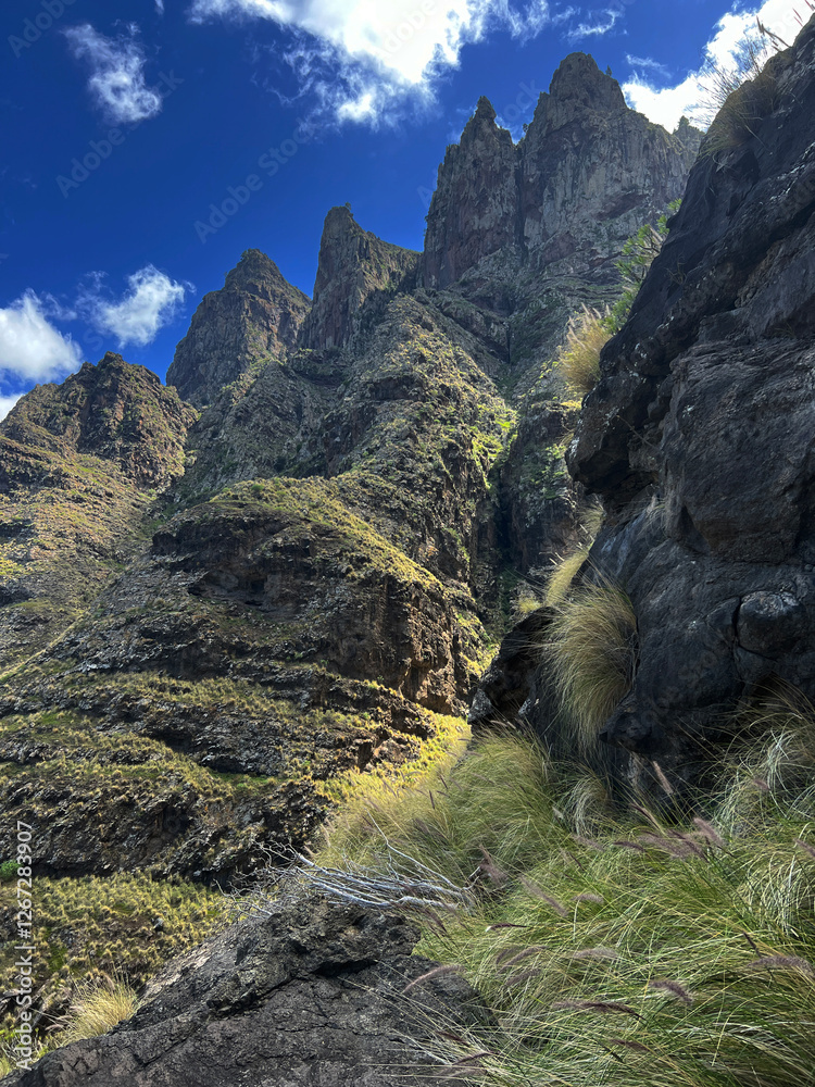 Hiking around Agaete