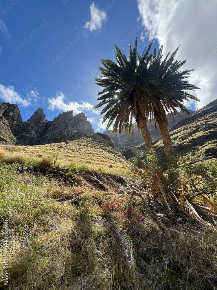 Hiking around Agaete