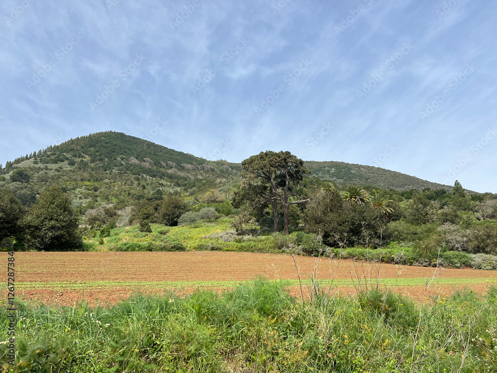 Hiking around Teror on the island Gran Canaria