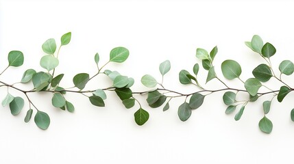 Watercolor green leaves herbal eucalyptus border