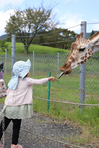 【山口県】秋吉台自然動物公園サファリランド、ふれあい広場、キリンに餌やりする女の子