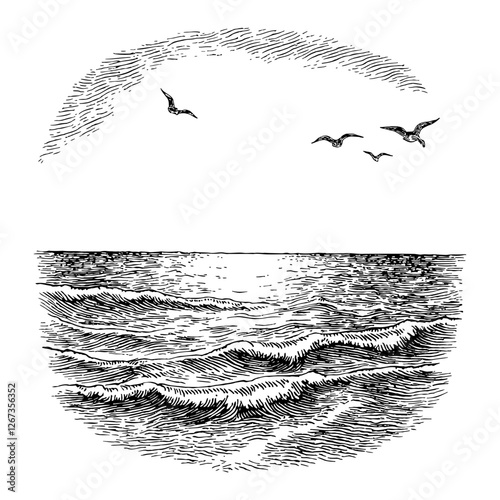 Water Sea Wave and Flying Birds Black and White Detailed Outline Line Art Drawing Vector