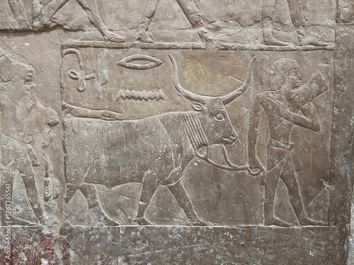 Reliefs in the tombs of inefert, unas Ankh and princess Idut showing daily life rituals in Saqqarah in Egypt