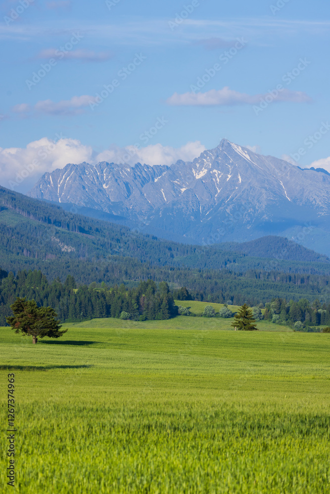 High Tatras with Krivan peak in spring time, Slovakia High Tatras with Krivan peak in spring time, Slovakia
