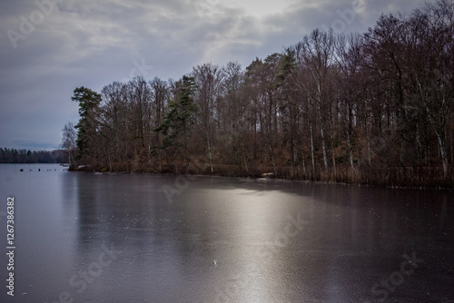 lake in the park
