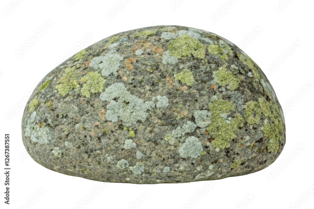 Lichen covered rock isolated with transparent background