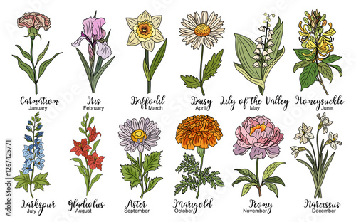 Set of Birth month flowers colored line art vector illustrations. Carnation, iris, daffodil, daisy, lily of the valley, violet, gladiolus, aster, marigold drawings for tattoo, logo, wall art.