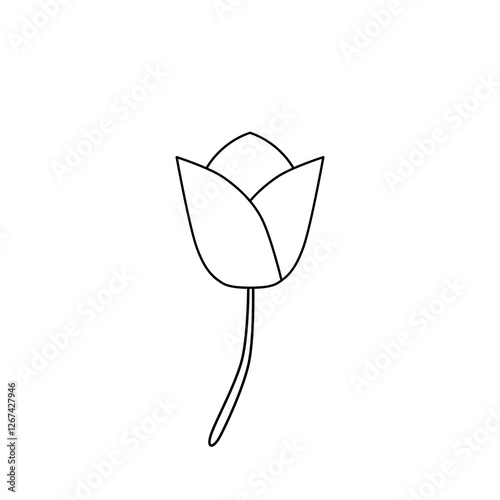 Tulips flower inspired by spring blooming flower line Illustration decoration pattern or creative idea icon	