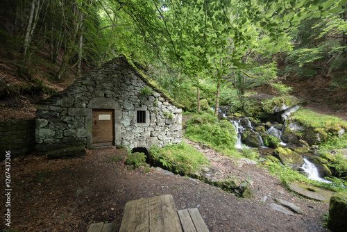 Water wheel mill (Moulin de Chambeuil), Laveissiere, Cantal, Auvergne-Rhone-Alpes, France photo