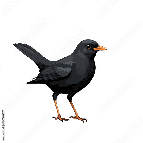 Realistic clip art illustration of a Black bird standing on its feet with vibrant orange beak and legs in a natural setting