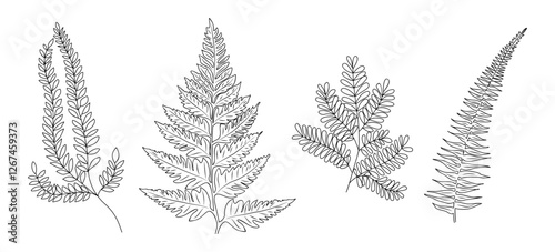 Fern leaves line art drawing. Hand drawn black ink sketch. Modern design for tattoo, wedding invitation, logo, cards, packaging. Trendy fern greenery vector illustration isolated