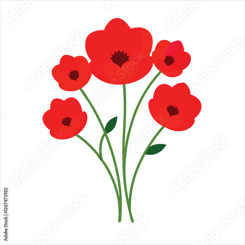 red poppies on white background