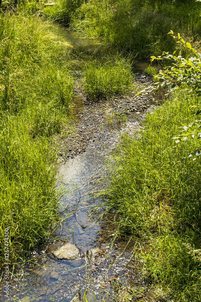 A small stream flowing through a grassy landscape. A small stream captured from the top view. Nature, stream, summer, season. A small stream flowing through a grassy landscape. A small stream captured from the top view. Nature, stream, summer, season.