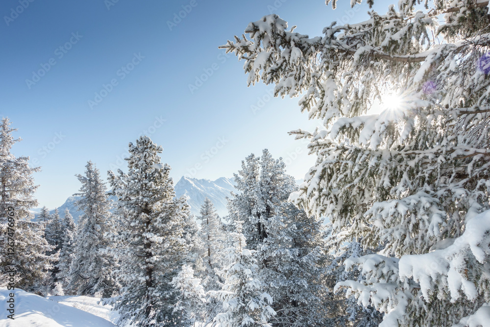 herrliche Winterlandschaft in den verschneiten Bergen von Tirol Österreich