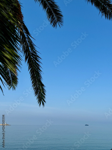 Lush green palm leaves at the top, against a clear blue sky and sea, space for text, at the background horizon line with the calm sea and shore in Bar, Montenegro