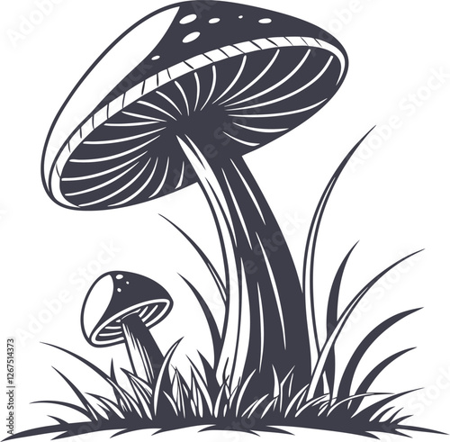 mushrooms on grass