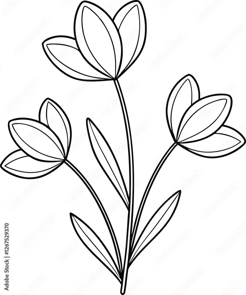 Simple Line Drawing of Three Elegant Crocus Flowers Simple Line Drawing of Three Elegant Crocus Flowers