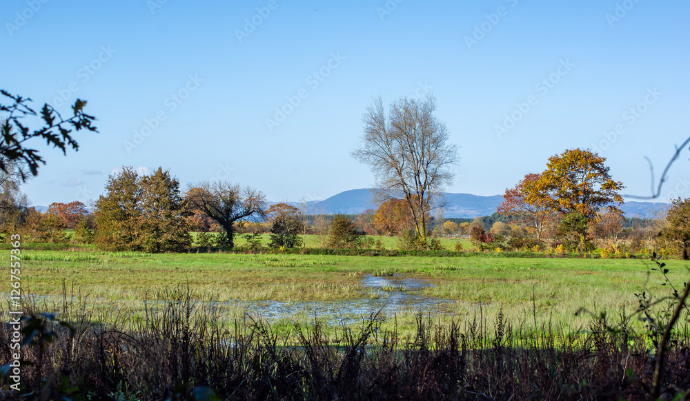 Fototapeta premium Paisaje otoñal con campo inundado con reflejos del cielo